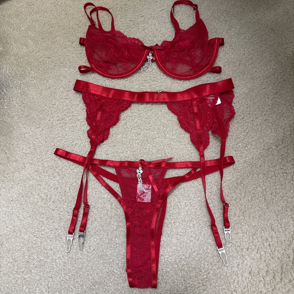 SOLD Tiger Mist Scarlet Lace Bra Set